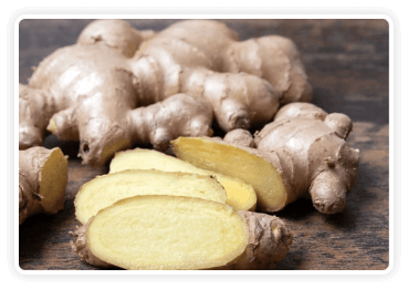 Himalayan Mountain Ginger ingredient