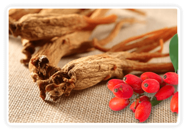 Berberine ingredient